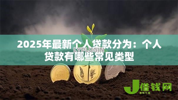 2025年最新个人贷款分为：个人贷款有哪些常见类型