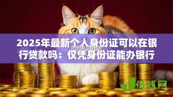 2025年最新个人身份证可以在银行贷款吗:仅凭身份证能办银行贷款吗 2025年最新个人身份证可以在银行贷款吗:仅凭身份证能办银行贷款吗