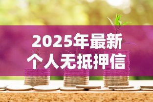 2025年最新个人无抵押信用贷款:无需担保如何快速申请小额信用贷 2025年最新个人无抵押信用贷款:无需担保如何快速申请小额信用贷