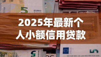 2025年最新个人小额信用贷款:无抵押信用贷款如何申请? 2025年最新个人小额信用贷款:无抵押信用贷款如何申请?