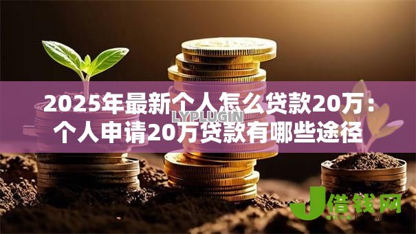 2025年最新个人怎么贷款20万:个人申请20万贷款有哪些途径 2025年最新个人怎么贷款20万:个人申请20万贷款有哪些途径