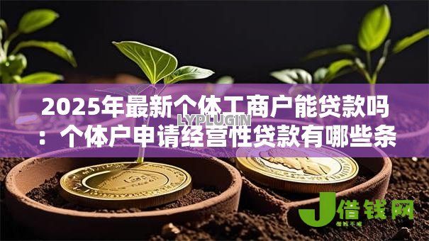 2025年最新个体工商户能贷款吗:个体户申请经营性贷款有哪些条件 2025年最新个体工商户能贷款吗:个体户申请经营性贷款有哪些条件