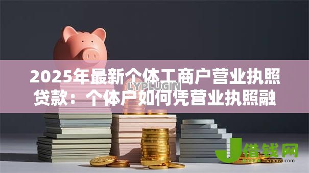 2025年最新个体工商户营业执照贷款:个体户如何凭营业执照融资 2025年最新个体工商户营业执照贷款:个体户如何凭营业执照融资