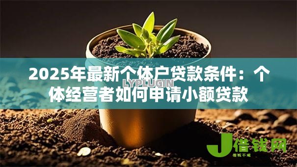 2025年最新个体户贷款条件:个体经营者如何申请小额贷款 2025年最新个体户贷款条件:个体经营者如何申请小额贷款