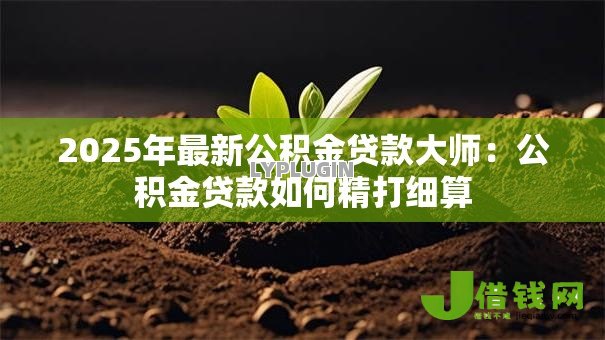 2025年最新公积金贷款大师:公积金贷款如何精打细算 2025年最新公积金贷款大师:公积金贷款如何精打细算