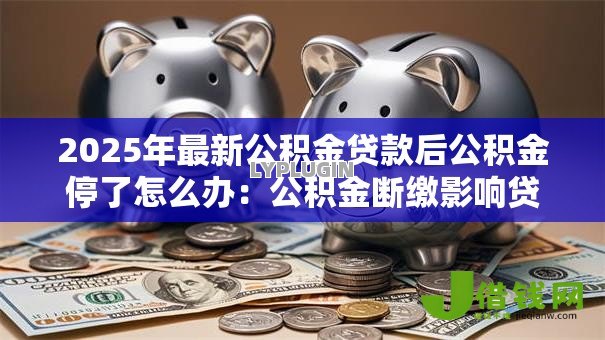 2025年最新公积金贷款后公积金停了怎么办：公积金断缴影响贷款如何补救