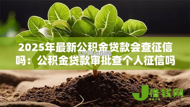 2025年最新公积金贷款会查征信吗：公积金贷款审批查个人征信吗