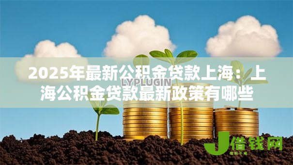 2025年最新公积金贷款上海:上海公积金贷款最新政策有哪些 2025年最新公积金贷款上海:上海公积金贷款最新政策有哪些