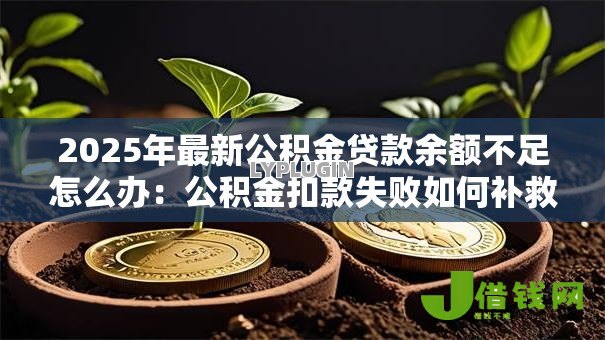 2025年最新公积金贷款余额不足怎么办：公积金扣款失败如何补救
