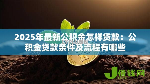 2025年最新公积金怎样贷款：公积金贷款条件及流程有哪些