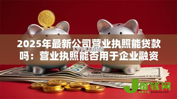 2025年最新公司营业执照能贷款吗：营业执照能否用于企业融资