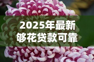 2025年最新够花贷款可靠吗：够花贷款是否安全值得信赖