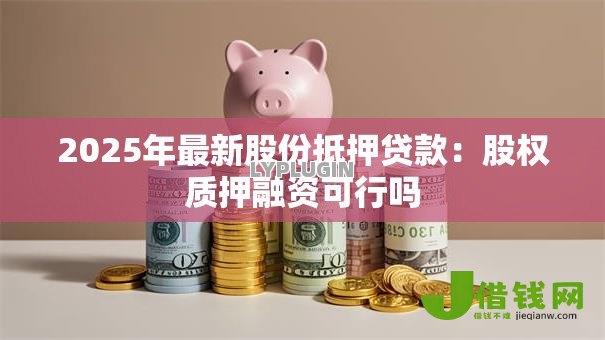 2025年最新股份抵押贷款：股权质押融资可行吗