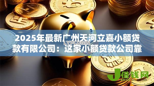 2025年最新广州天河立嘉小额贷款有限公司：这家小额贷款公司靠谱吗