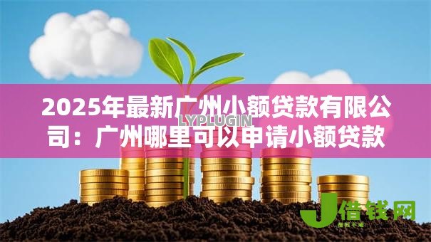 2025年最新广州小额贷款有限公司:广州哪里可以申请小额贷款 2025年最新广州小额贷款有限公司:广州哪里可以申请小额贷款