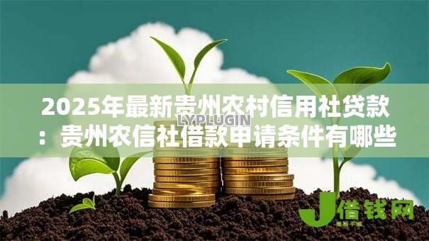 2025年最新贵州农村信用社贷款：贵州农信社借款申请条件有哪些