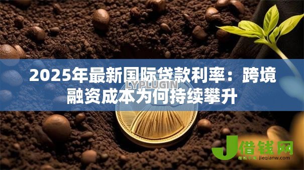 2025年最新国际贷款利率：跨境融资成本为何持续攀升