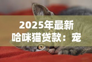 2025年最新哈咪猫贷款:宠物贷款平台如何申请 2025年最新哈咪猫贷款:宠物贷款平台如何申请