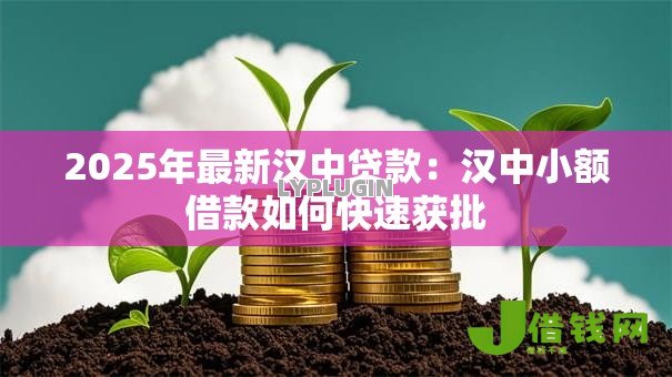 2025年最新汉中贷款：汉中小额借款如何快速获批