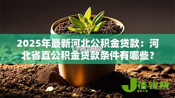 2025年最新河北公积金贷款:河北省直公积金贷款条件有哪些? 2025年最新河北公积金贷款:河北省直公积金贷款条件有哪些?