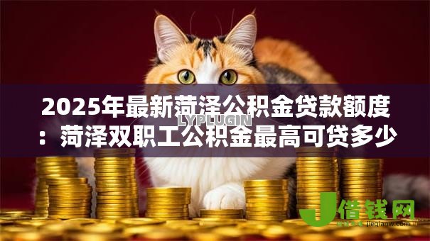 2025年最新菏泽公积金贷款额度：菏泽双职工公积金最高可贷多少万