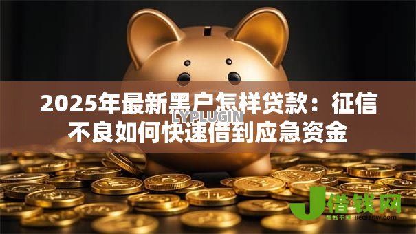 2025年最新黑户怎样贷款:征信不良如何快速借到应急资金 2025年最新黑户怎样贷款:征信不良如何快速借到应急资金