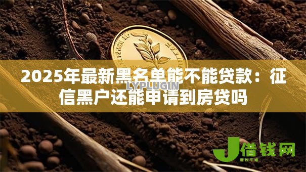 2025年最新黑名单能不能贷款:征信黑户还能申请到房贷吗 2025年最新黑名单能不能贷款:征信黑户还能申请到房贷吗