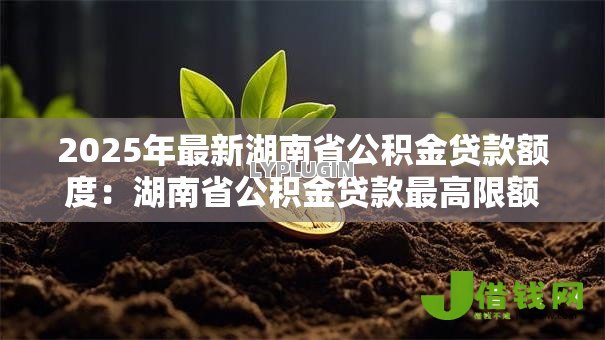 2025年最新湖南省公积金贷款额度:湖南省公积金贷款最高限额是多少 2025年最新湖南省公积金贷款额度:湖南省公积金贷款最高限额是多少