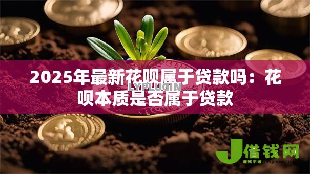 2025年最新花呗属于贷款吗:花呗本质是否属于贷款 2025年最新花呗属于贷款吗:花呗本质是否属于贷款