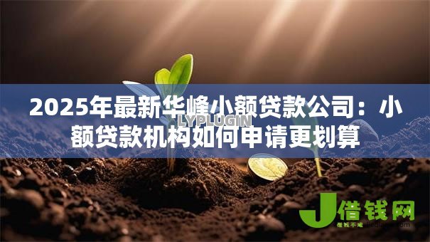2025年最新华峰小额贷款公司：小额贷款机构如何申请更划算