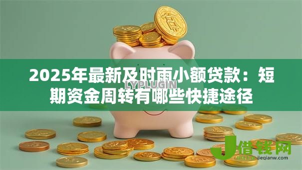 2025年最新及时雨小额贷款:短期资金周转有哪些快捷途径 2025年最新及时雨小额贷款:短期资金周转有哪些快捷途径