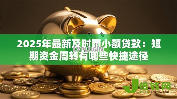 2025年最新及时雨小额贷款:短期资金周转有哪些快捷途径 2025年最新及时雨小额贷款:短期资金周转有哪些快捷途径