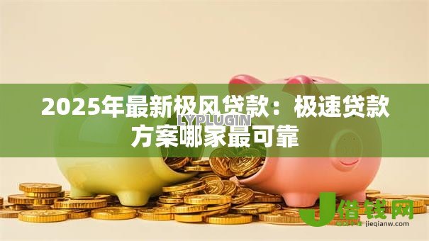 2025年最新极风贷款：极速贷款方案哪家最可靠