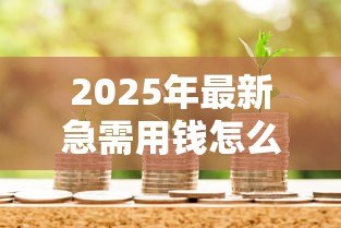 2025年最新急需用钱怎么贷款:急缺资金如何快速借款 2025年最新急需用钱怎么贷款:急缺资金如何快速借款