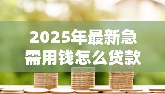 2025年最新急需用钱怎么贷款:急缺资金如何快速借款 2025年最新急需用钱怎么贷款:急缺资金如何快速借款