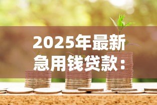 2025年最新急用钱贷款：急需资金周转如何快速申请贷款