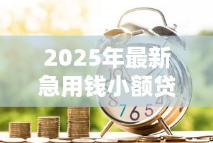 2025年最新急用钱小额贷款:小额贷款如何快速解决资金周转问题 2025年最新急用钱小额贷款:小额贷款如何快速解决资金周转问题