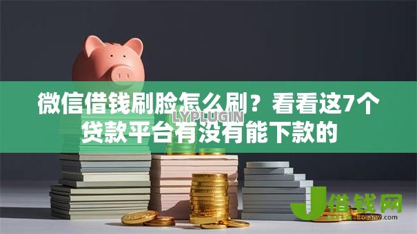 微信借钱刷脸怎么刷？看看这7个贷款平台有没有能下款的