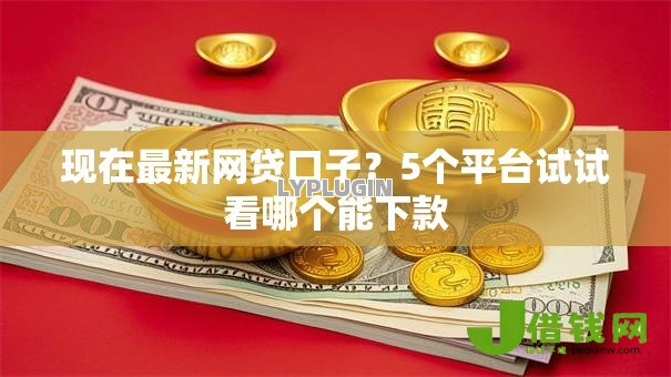 现在最新网贷口子?5个平台试试看哪个能下款 现在最新网贷口子?5个平台试试看哪个能下款