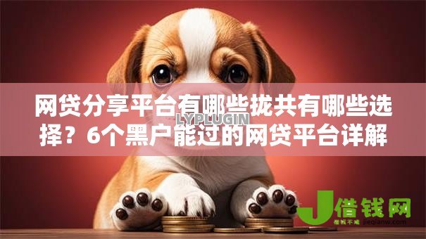 网贷分享平台有哪些拢共有哪些选择？6个黑户能过的网贷平台详解