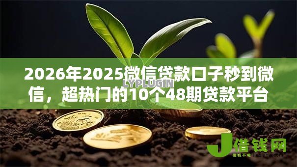 2026年2025微信贷款口子秒到微信，超热门的10个48期贷款平台推荐