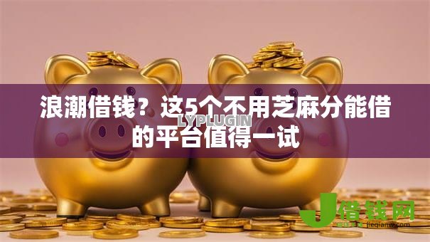 浪潮借钱？这5个不用芝麻分能借的平台值得一试