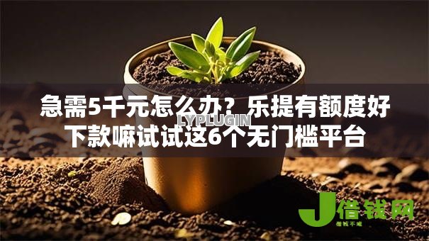 急需5千元怎么办？乐提有额度好下款嘛试试这6个无门槛平台