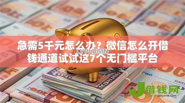 急需5千元怎么办？微信怎么开借钱通道试试这7个无门槛平台