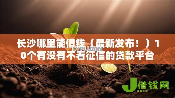 长沙哪里能借钱(最新发布!)10个有没有不看征信的贷款平台 长沙哪里能借钱(最新发布!)10个有没有不看征信的贷款平台