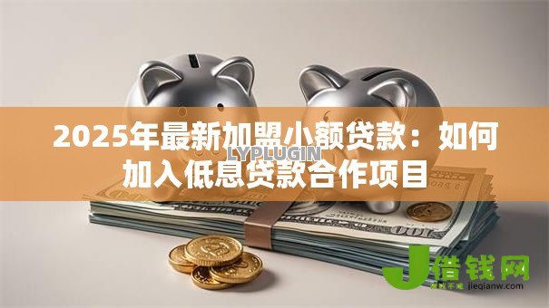 2025年最新加盟小额贷款:如何加入低息贷款合作项目 2025年最新加盟小额贷款:如何加入低息贷款合作项目