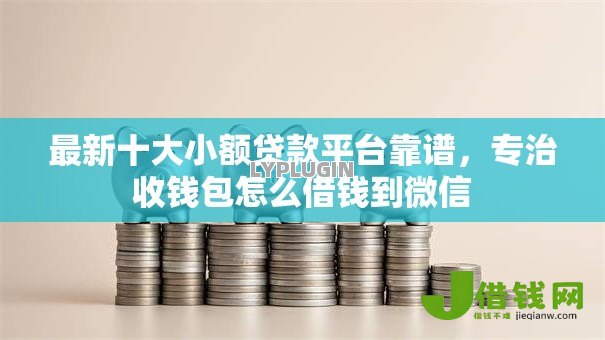 最新十大小额贷款平台靠谱,专治收钱包怎么借钱到微信 最新十大小额贷款平台靠谱,专治收钱包怎么借钱到微信