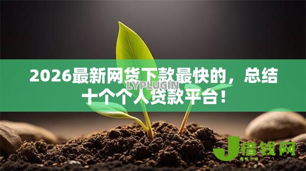 2026最新网货下款最快的,总结十个个人贷款平台! 2026最新网货下款最快的,总结十个个人贷款平台!