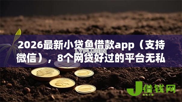 2026最新小贷鱼借款app（支持微信），8个网贷好过的平台无私分享