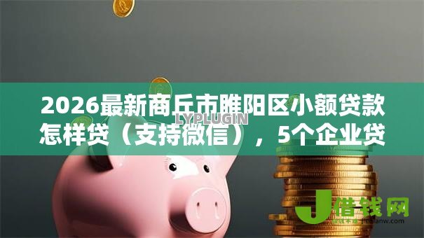 2026最新商丘市睢阳区小额贷款怎样贷(支持微信),5个企业贷款平台好无私分享 2026最新商丘市睢阳区小额贷款怎样贷(支持微信),5个企业贷款平台好无私分享